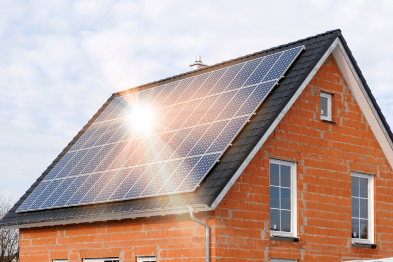 Solar Energy: The Most Important Pros and Cons (2024)