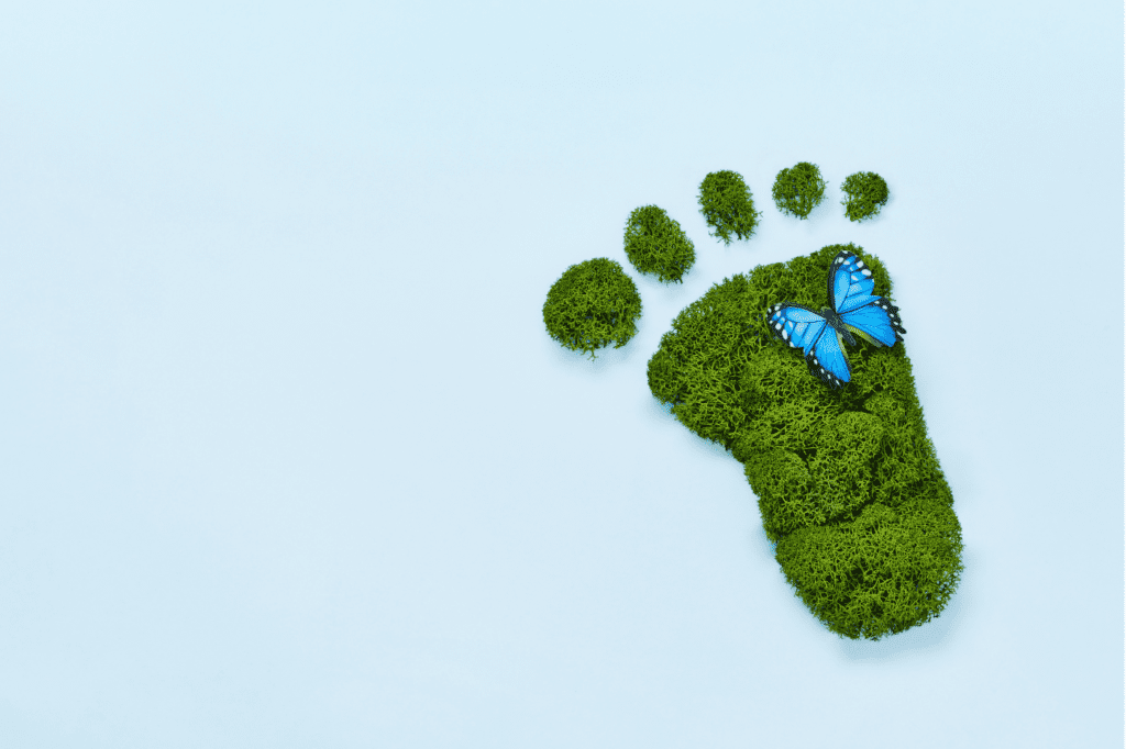 image featured in Must Know: 11 Popular Eco-Friendly Terms And Their Meanings showing a green footprint