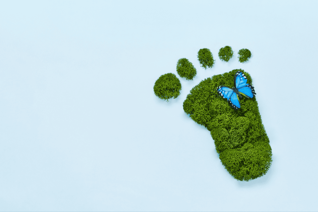 featured image in How to: Minimize Waste (Zero Waste Living Guide 2024) showing a green footprint