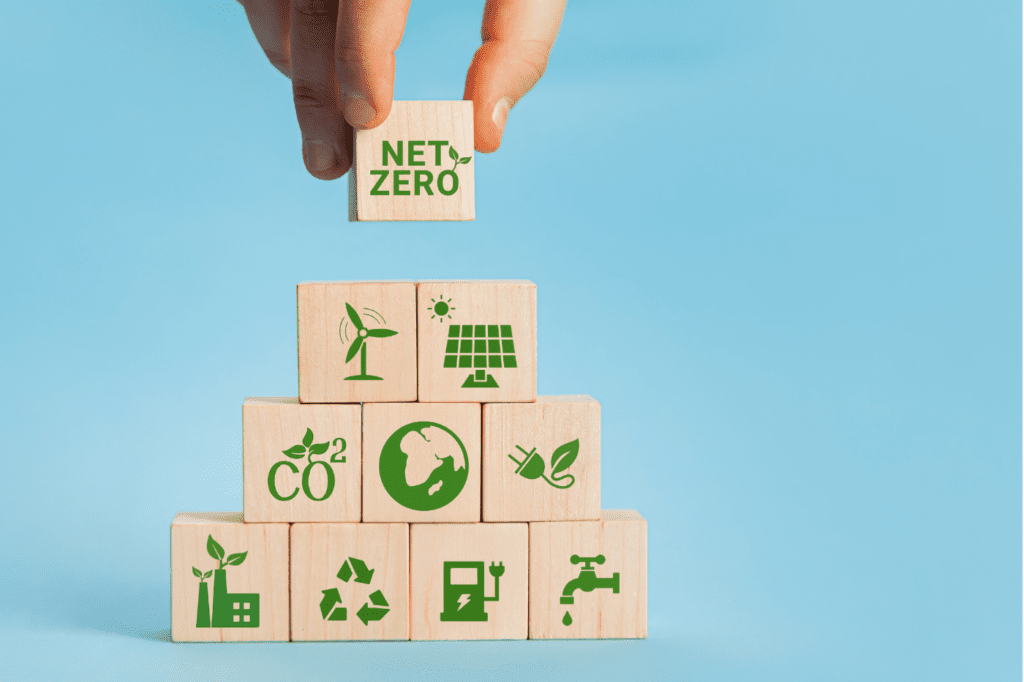 image featured in Must Know: 11 Popular Eco-Friendly Terms And Their Meanings showing building blocks with eco-friendly terms on them, the top block says 'net zero'