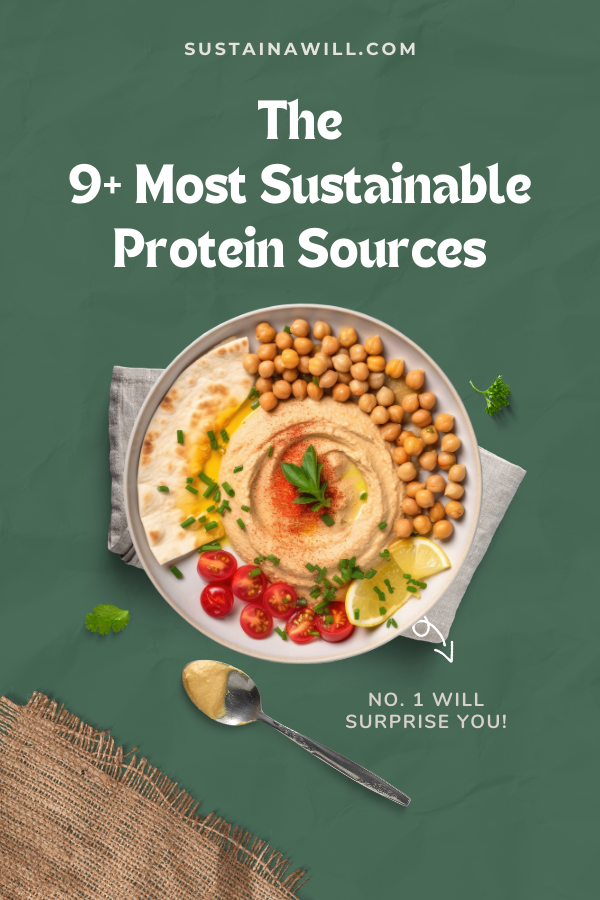 2nd pinterest pin showing the title for a blogpost called Wanna Know The 9+ Most Sustainable Protein Sources? No. 1 Will Surprise You!