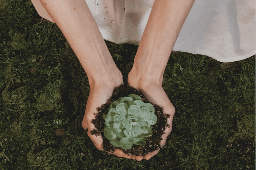 featured image in How to: Declutter and Live Minimally | Practical Ways showing a woman holding a plant and soil