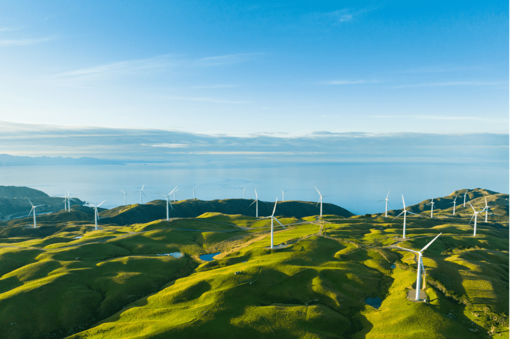 image featured in Must Know: 11 Popular Eco-Friendly Terms And Their Meanings showing a wind energy farm