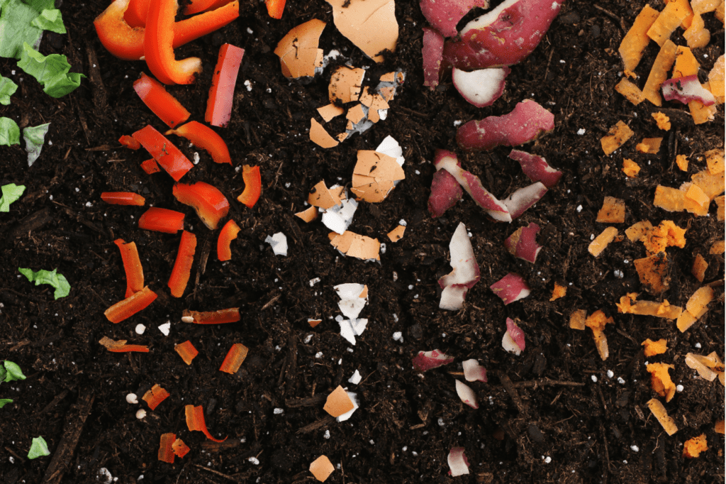 image featured in Must Know: 11 Popular Eco-Friendly Terms And Their Meanings showing kitchen scraps on soil