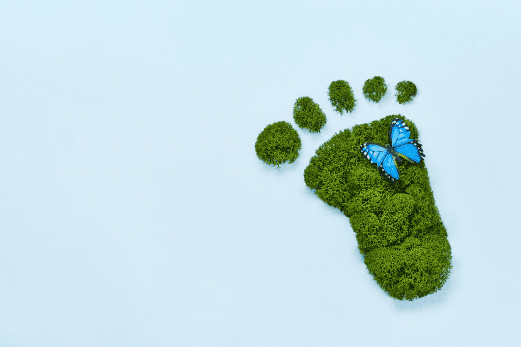 image showing green footprint