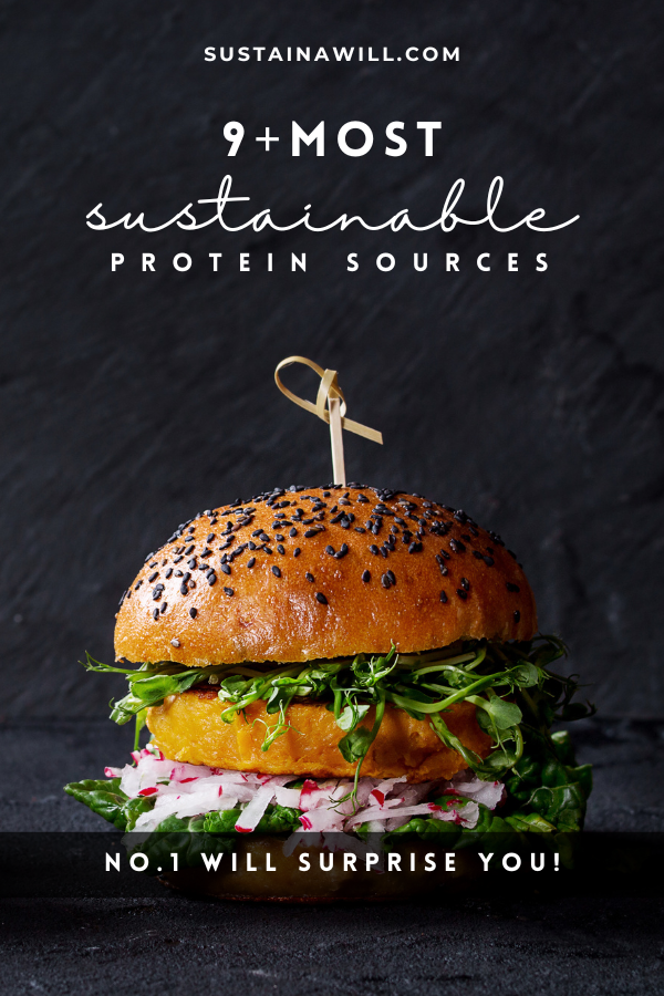 pinterest pin showing the title for a blogpost called Wanna Know The 9+ Most Sustainable Protein Sources? No. 1 Will Surprise You!