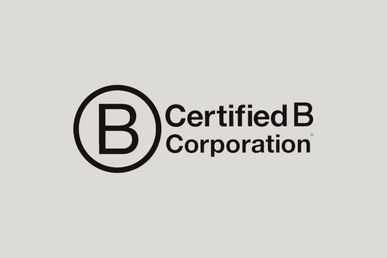What is a B Corporation? All You Need to Know (2024)