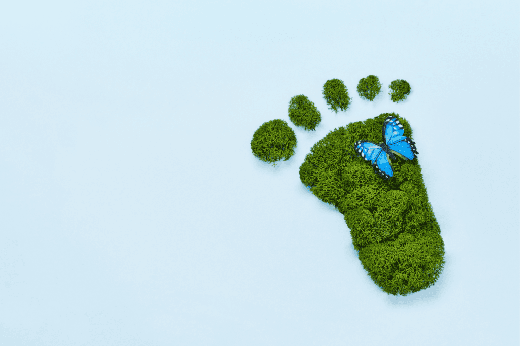 image showing a green footprint