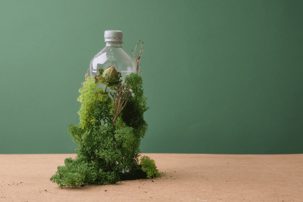 pet bottle with greenery on it