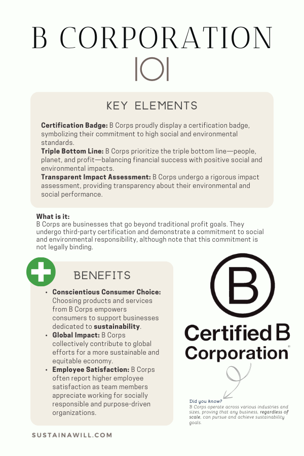 infographic about b  corporations, showing the key elements, what it is and the benefits