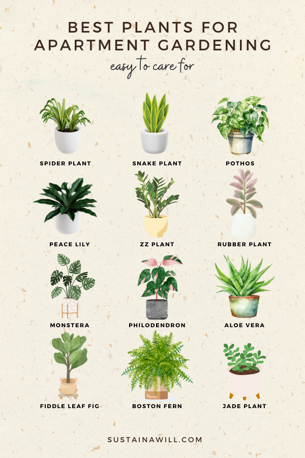 best plants for apartment gardening