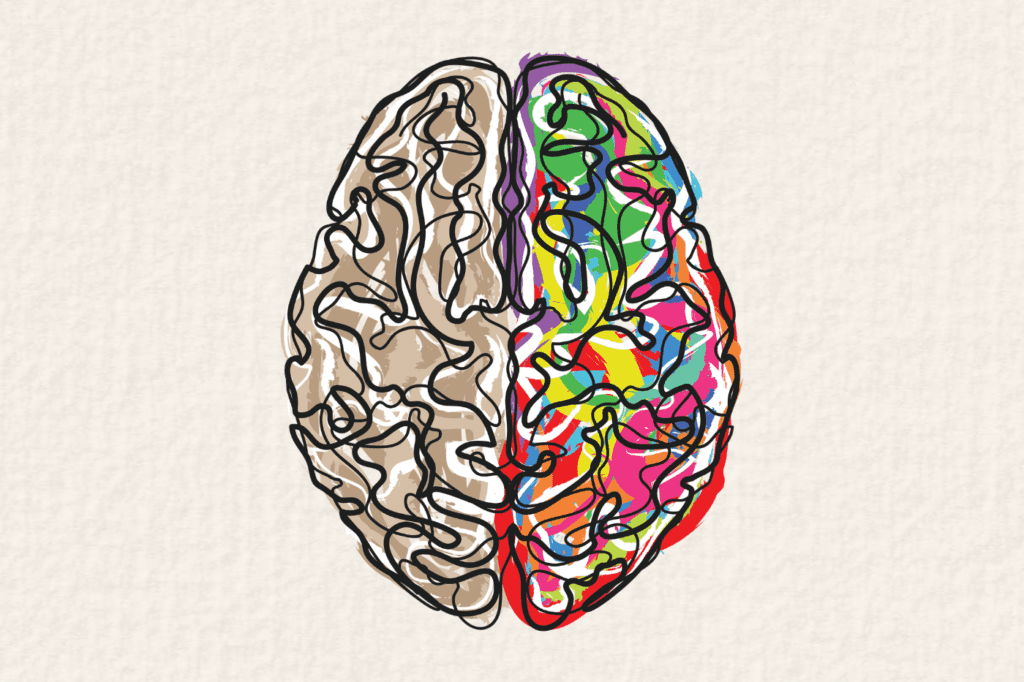 a brain with a grey side and a colorful side