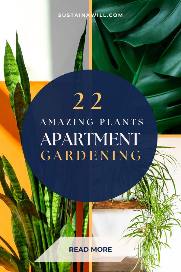 Pinterest optimized image showing the post title and web address for How To: Apartment Gardening for Beginners - 22 Amazing Plants