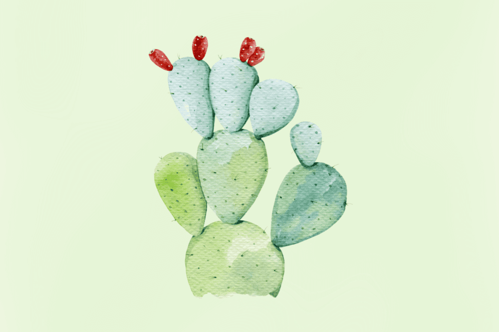 watercolor prickly pear cactus (nopal) that is used for cactus leather