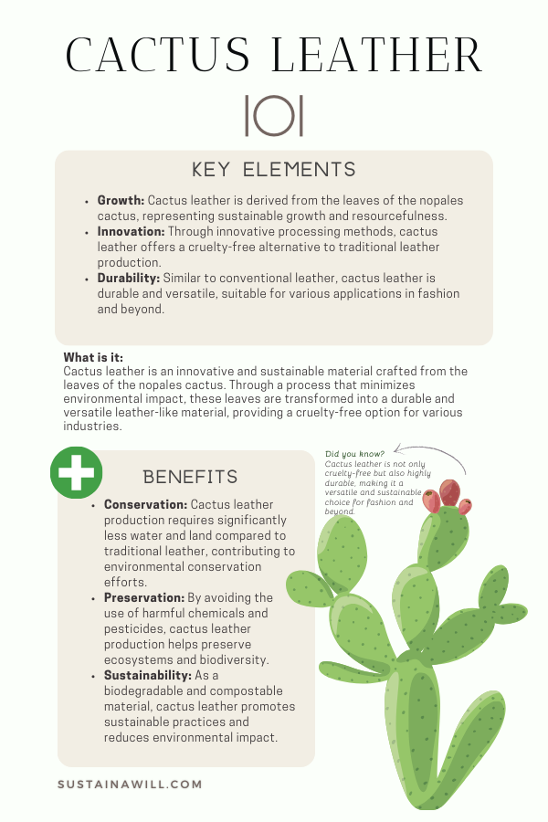 infographic about cactus leather, showing the key elements and benefits