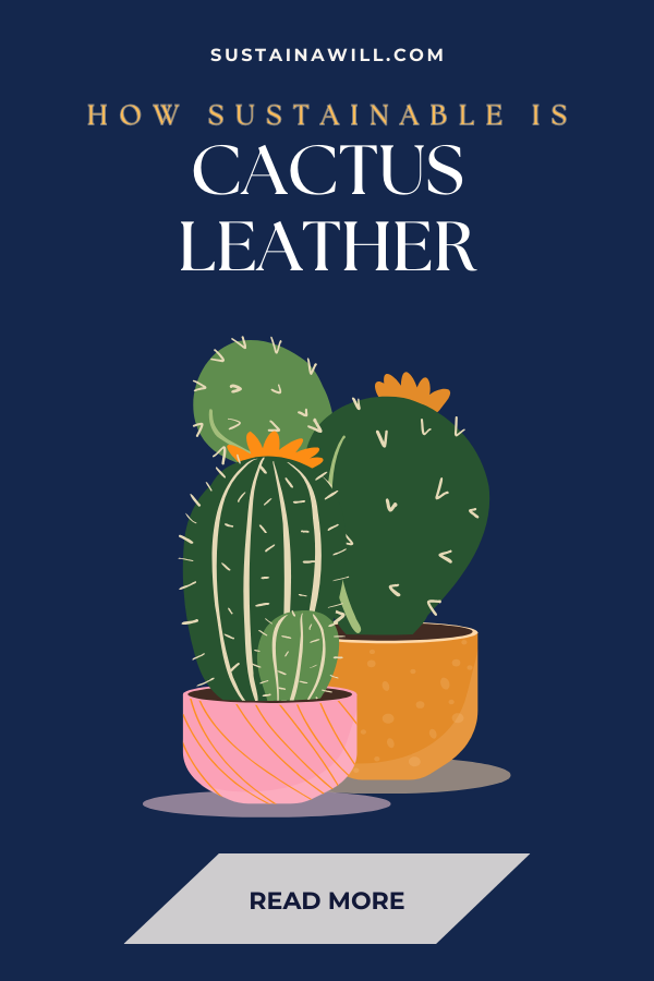 Pinterest optimized image showing the post title and web address for What is Cactus Leather and How Sustainable is it Really?